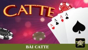Bài Catte